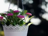 závěsný květináč