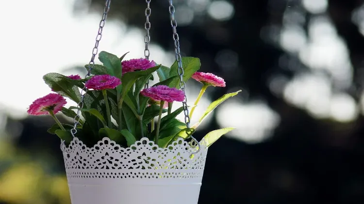 Vyrobte si závěsný květináč: 10 kroků a co do nich vysázet?