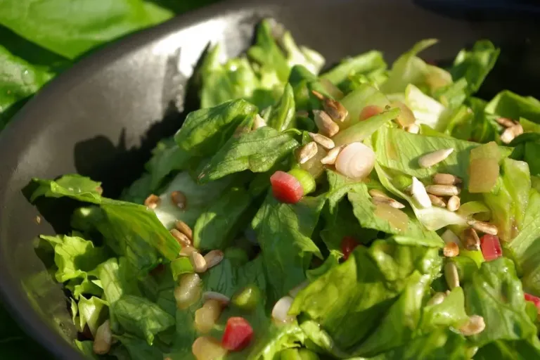 Rebarbora recepty: Rebarborový salát