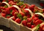 jahody recepty z velké úrody