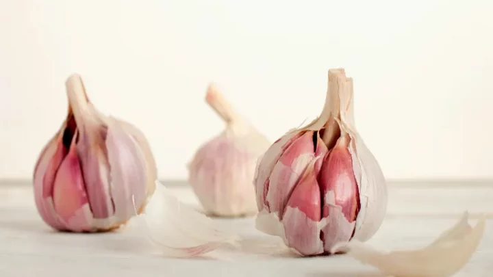 Sázení česneku na podzim: Jak na to a proč to vyzkoušet?