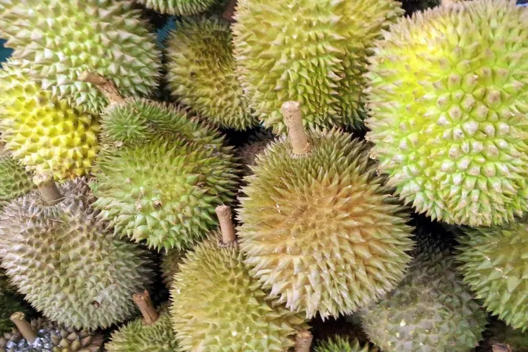 Durian - nejsmradlavější ovoce na světě