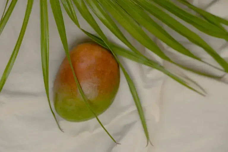 jak vypěstovat mango z pecky